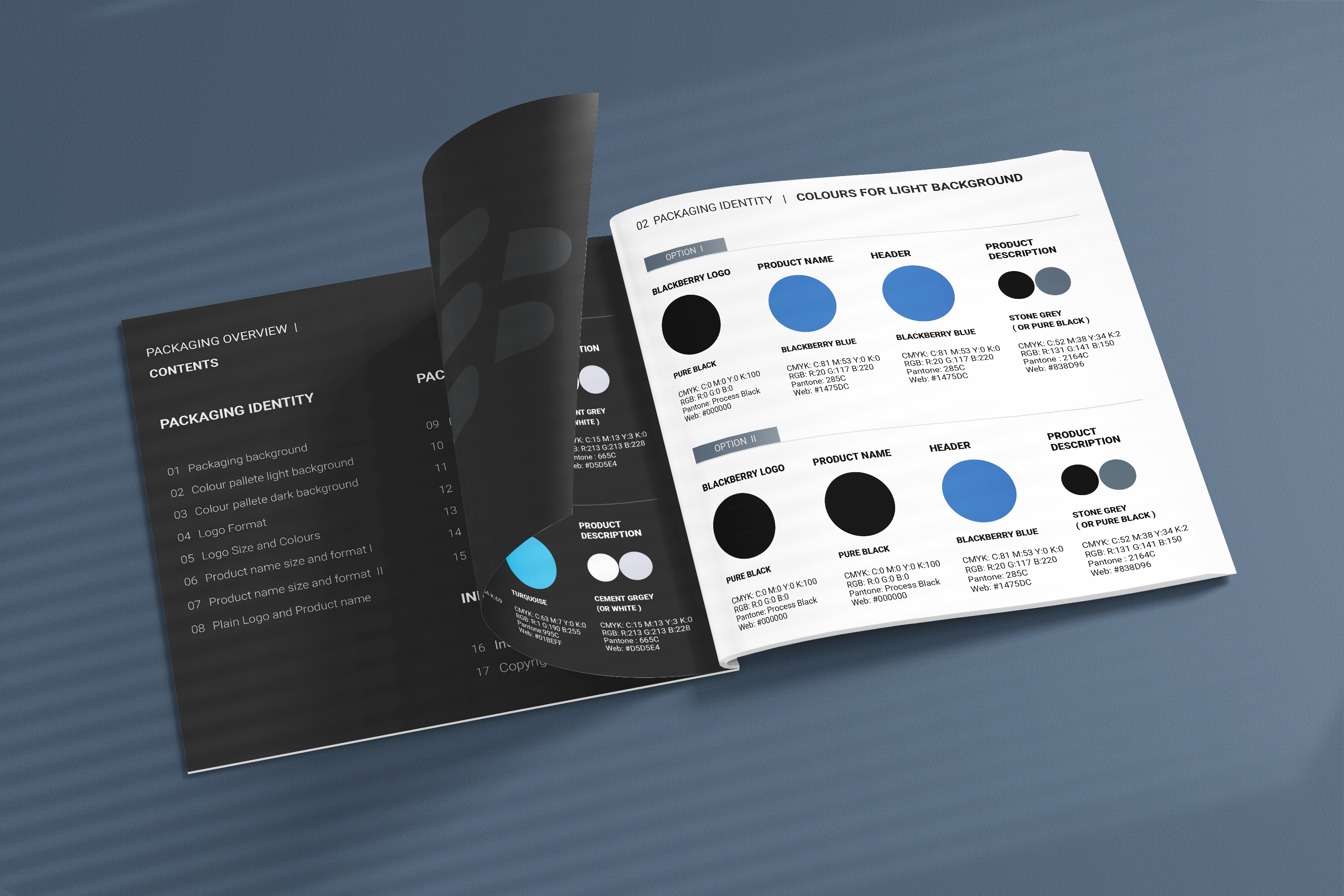 packaging guidlines